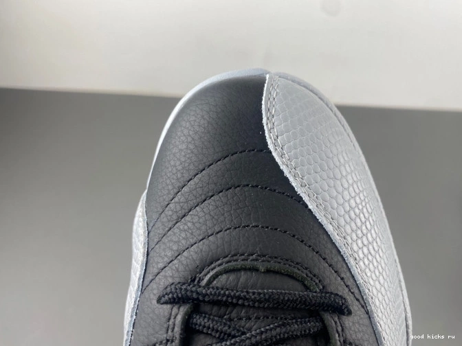 Air Barons Jordan 12 CT8013-010 0729